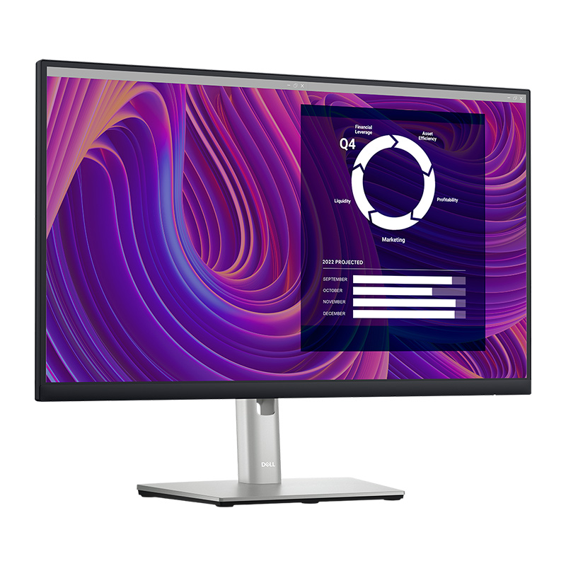 Dell P2423D 24&quot; Monitor - DFO