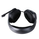 HP H220G USB HEADSET