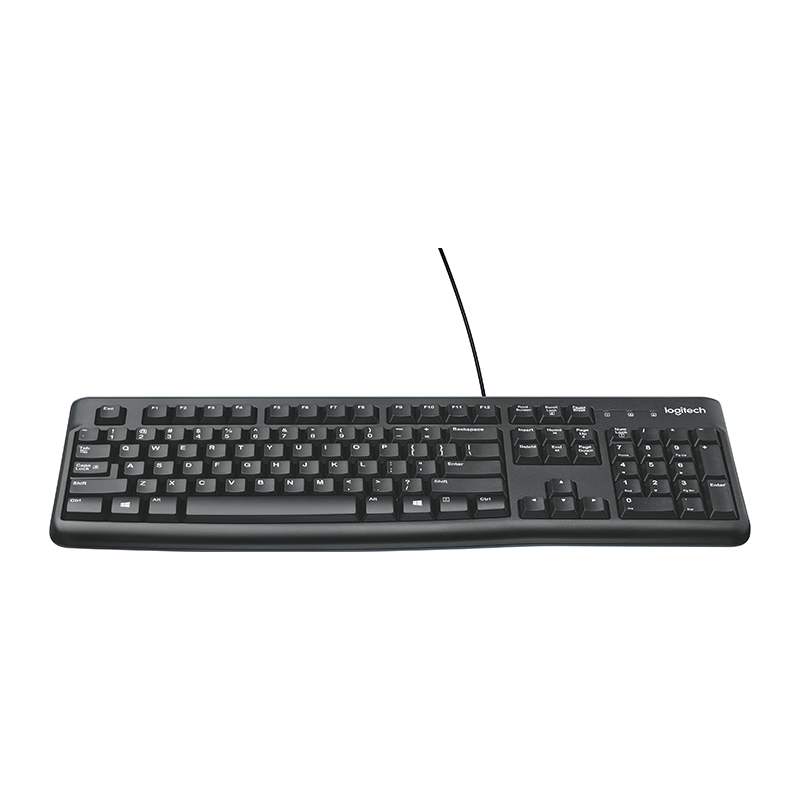 Logitech K120 USB Standard Computer Keyboard (920-002582)